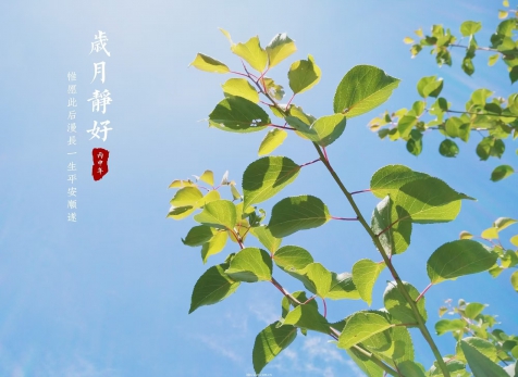 愿歲月靜好，山河無恙